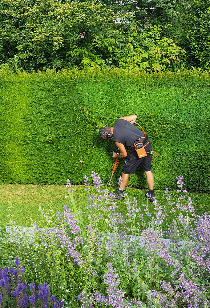 boudewijn-hoveniers-tuin-onderhoud-en-realisatie-25-24