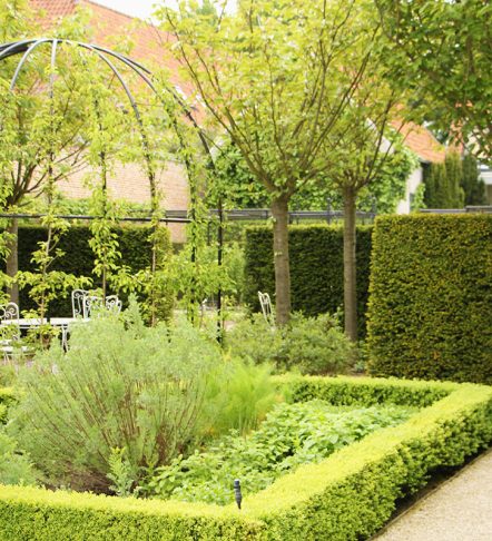 boudewijn-hoveniers-parktuin-gallery-7