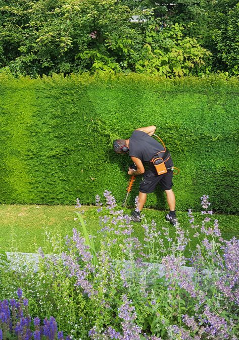 boudewijn-hoveniers-tuin-onderhoud-en-realisatie-25-24