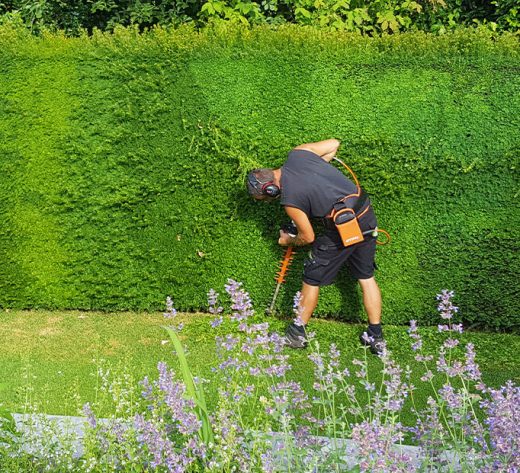 boudewijn-hoveniers-tuin-onderhoud-en-realisatie-25-24